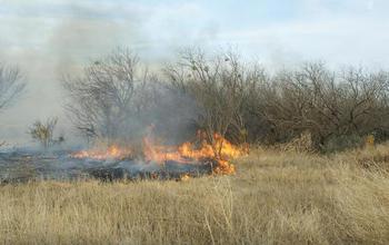 Fire burning in a dry field